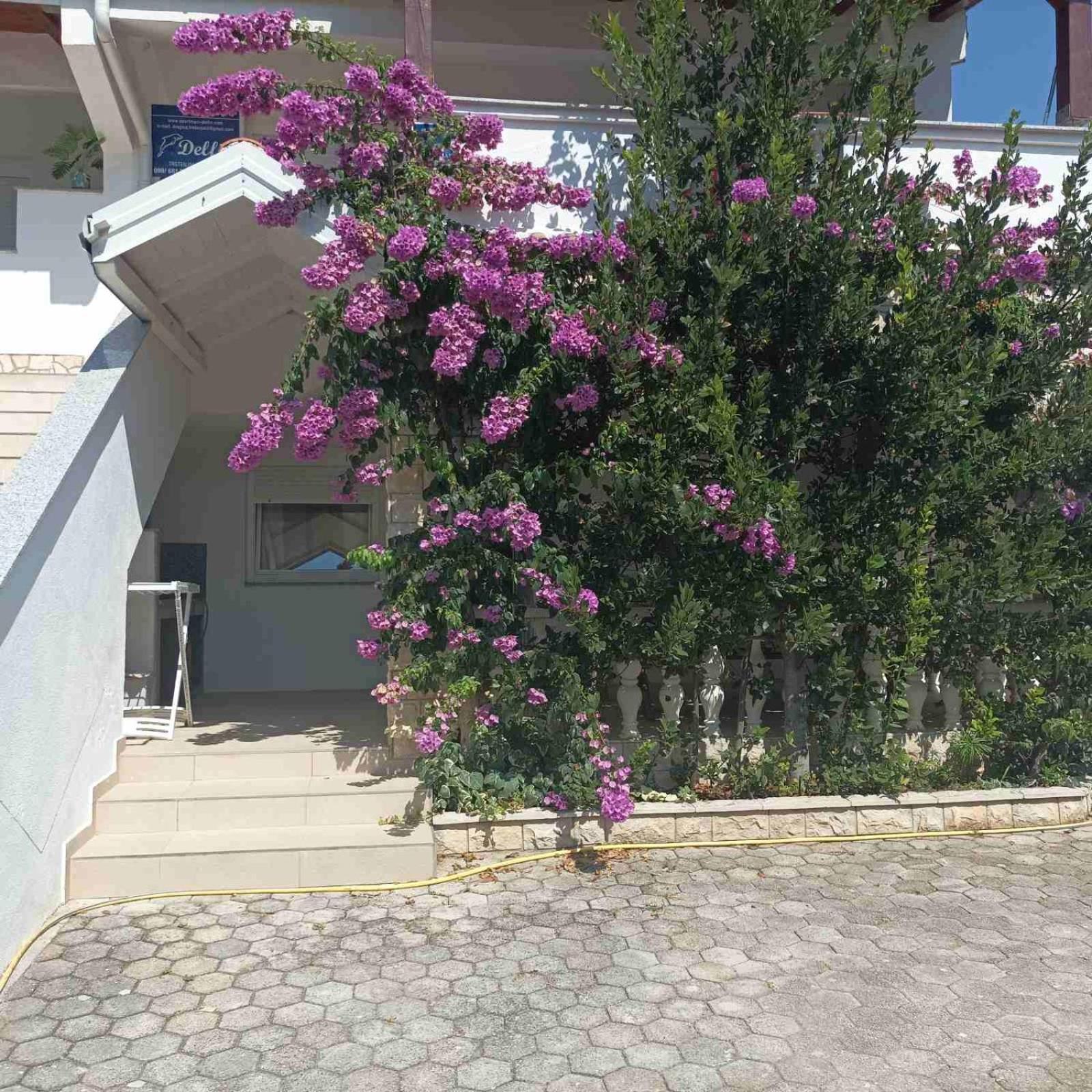 Apartments Vir Delfin Bagian luar foto